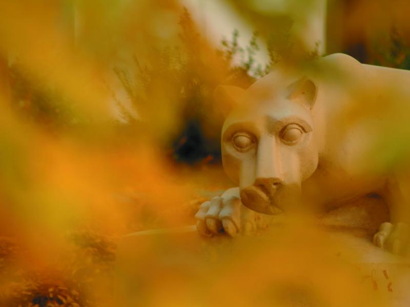 被落叶环绕的尼塔尼狮子雕像。