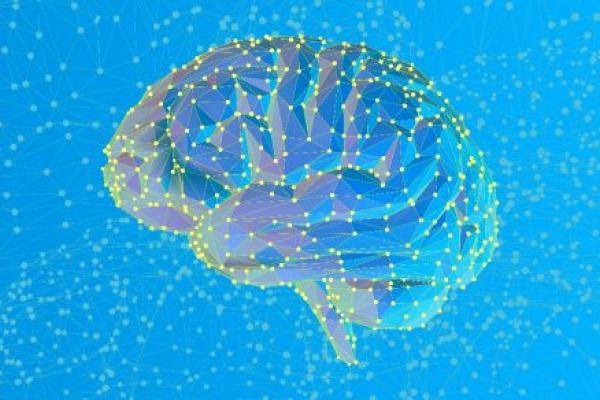 A graphic rendering of a human brain shows various dots connected to each other inside the brain.